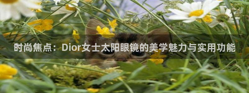 新宝5苹果手机下载