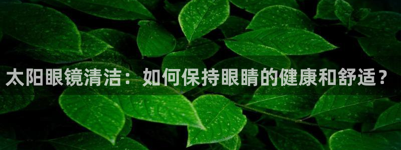 新宝5娱乐主管