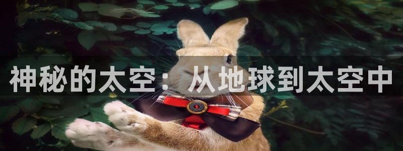 新宝5代理