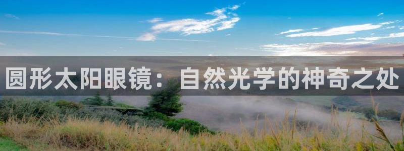 新宝5的网址