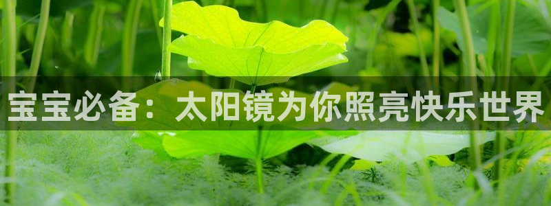 新宝5策略