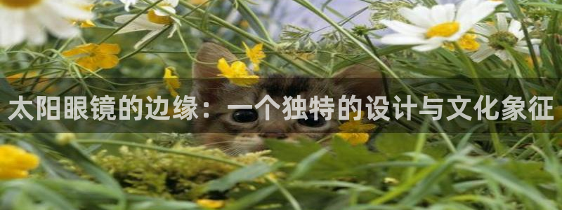 新宝5苹果手机下载