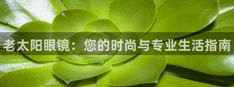 新宝娱乐5入口