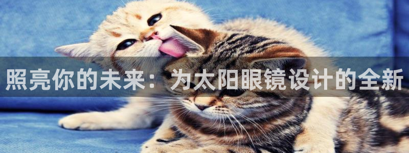 新宝5 - 测速登陆