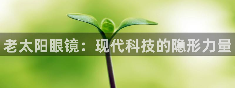 新宝5网站
