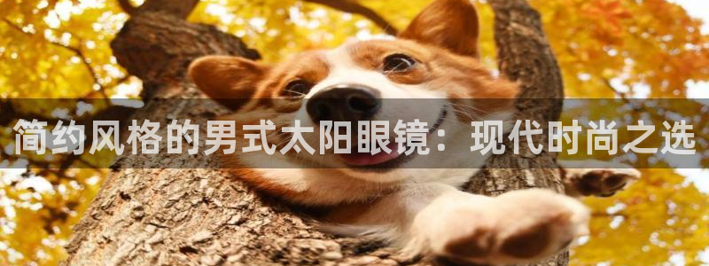 新宝5入口