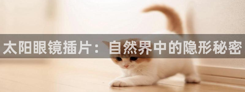 新宝5官网67五壹叁八