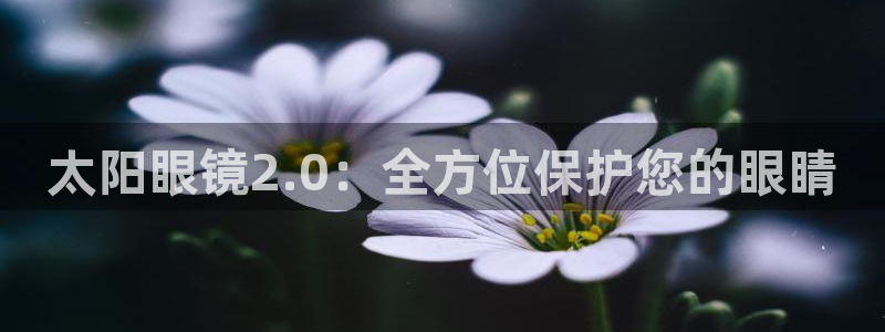 新宝5娱乐多