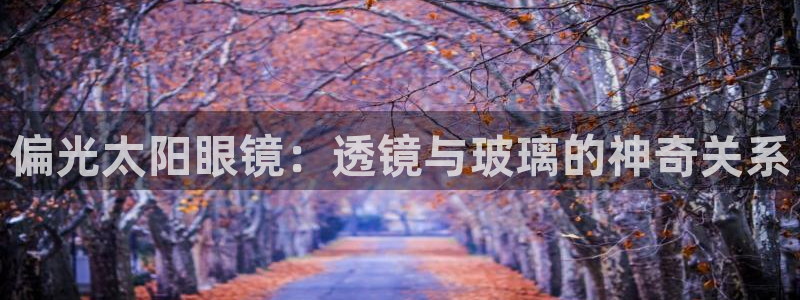 皇冠新宝5