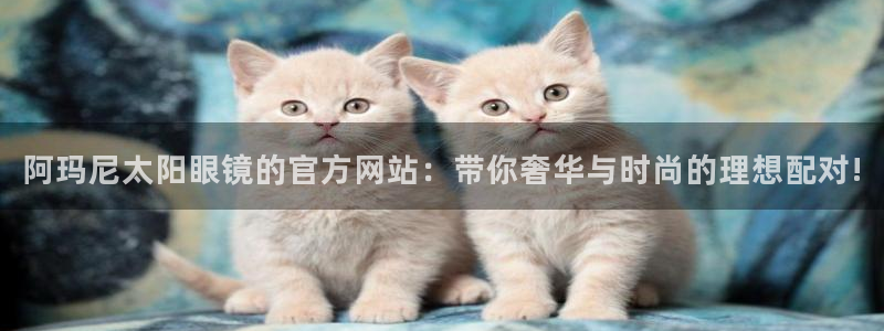 新宝5娱乐如