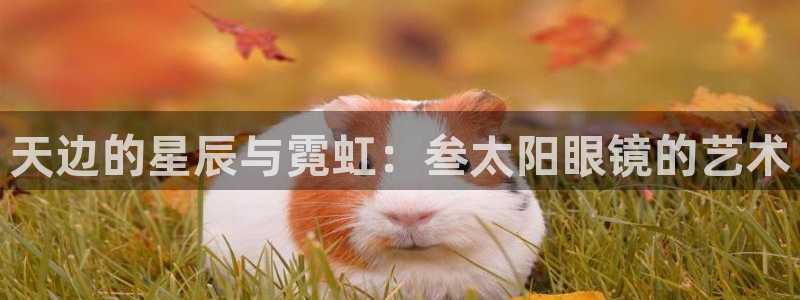 新宝5娱乐多