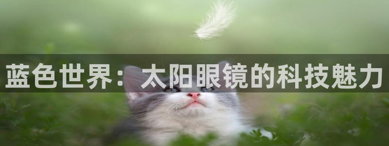 新宝5测速在线