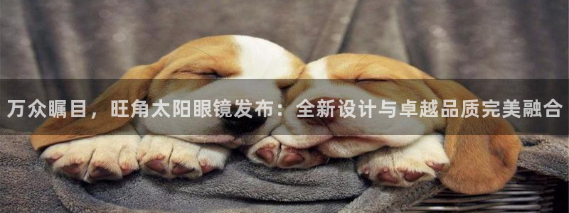 新宝5是谁的