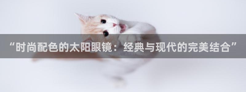 新宝5官网67五壹叁八