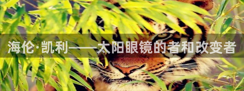新宝5手机版